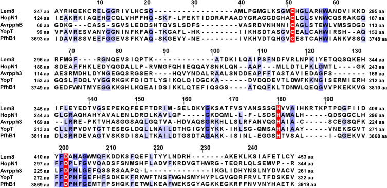 Figure 1—figure supplement 1.