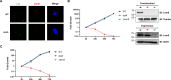 Figure 1—figure supplement 2.