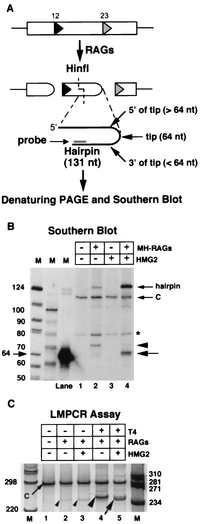 FIG. 5