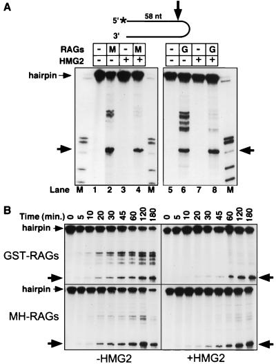 FIG. 4