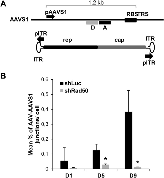 FIG 6