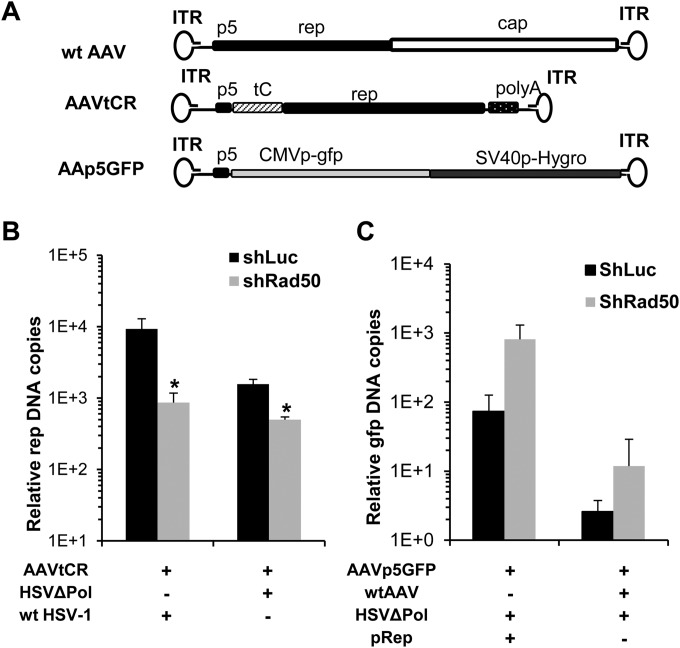 FIG 4