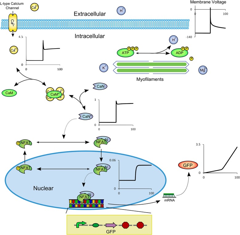 Figure 7