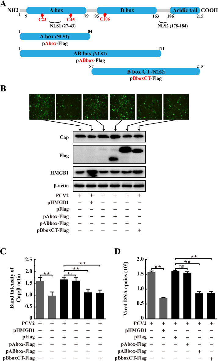 FIG 7