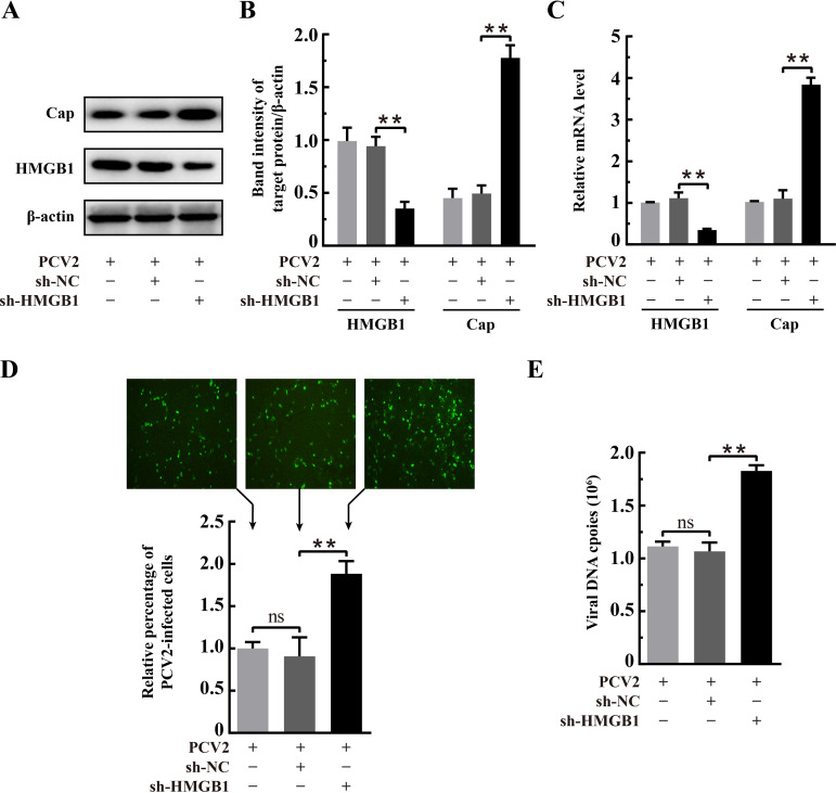 FIG 2