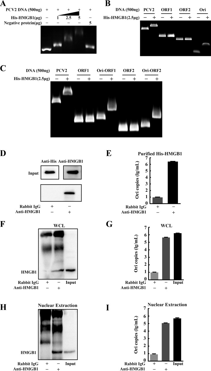 FIG 8