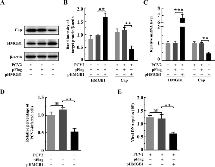 FIG 3