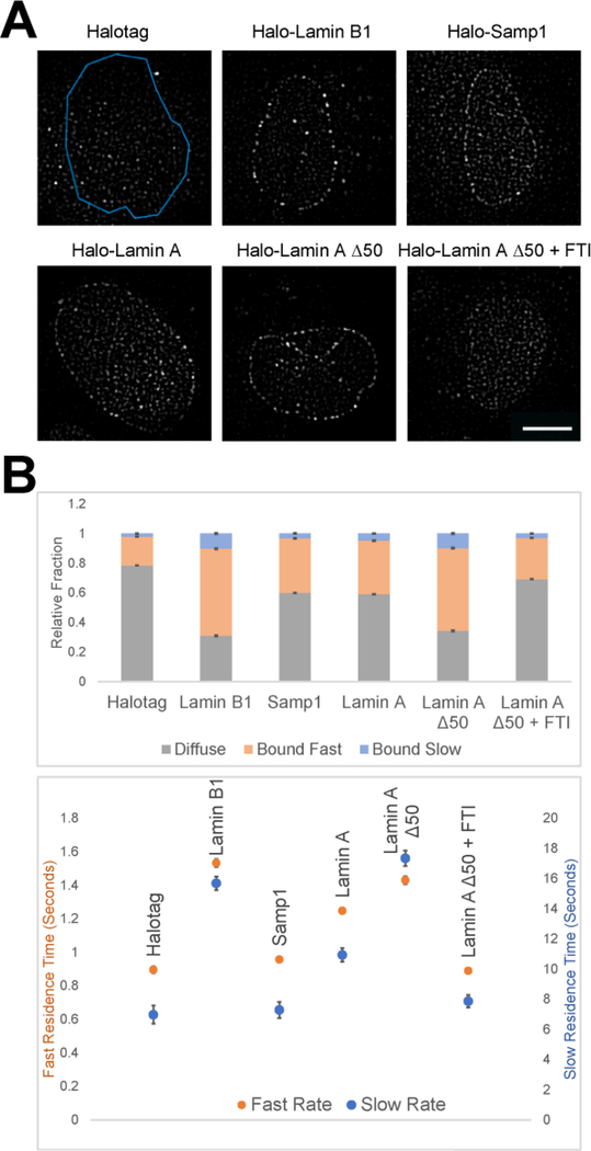 Figure 2: