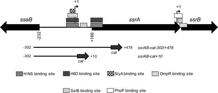 FIG 4