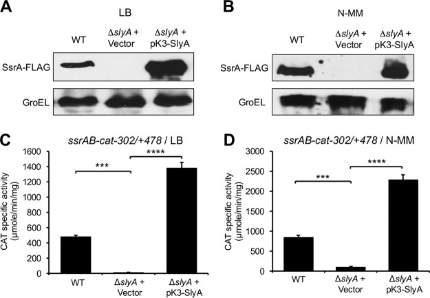 FIG 1