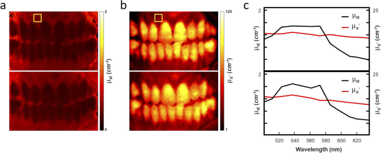 Fig. 7.