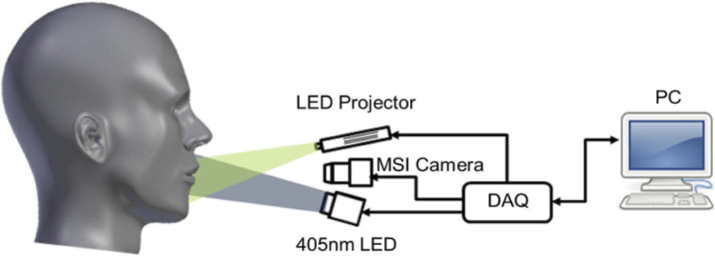 Fig. 1.