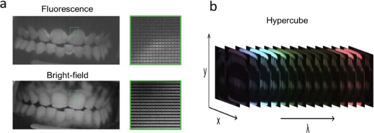 Fig. 4.