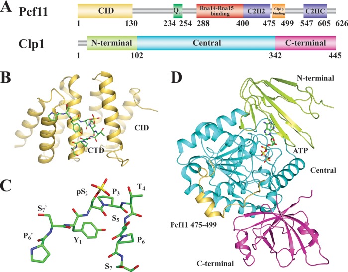 FIG 4