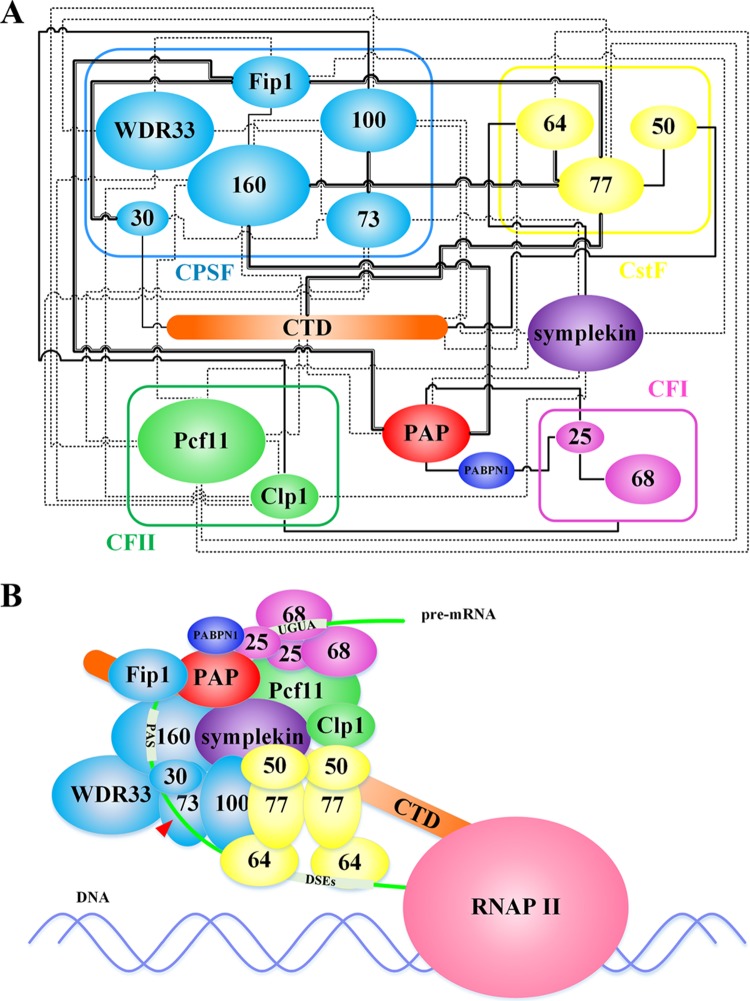 FIG 6