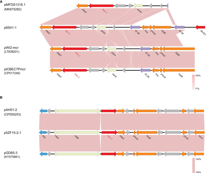 Figure 2