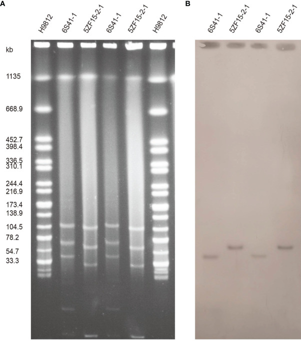 Figure 1