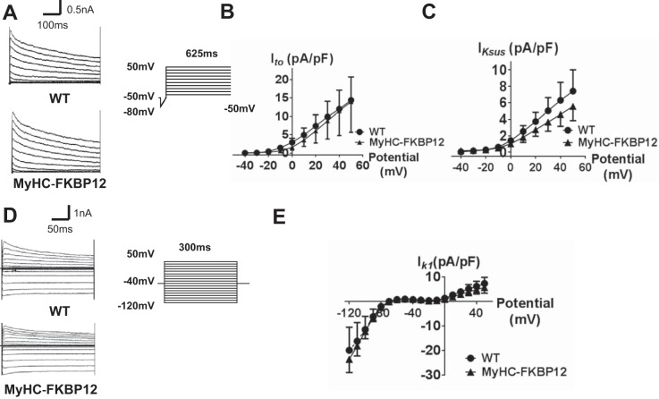 Fig. 6.