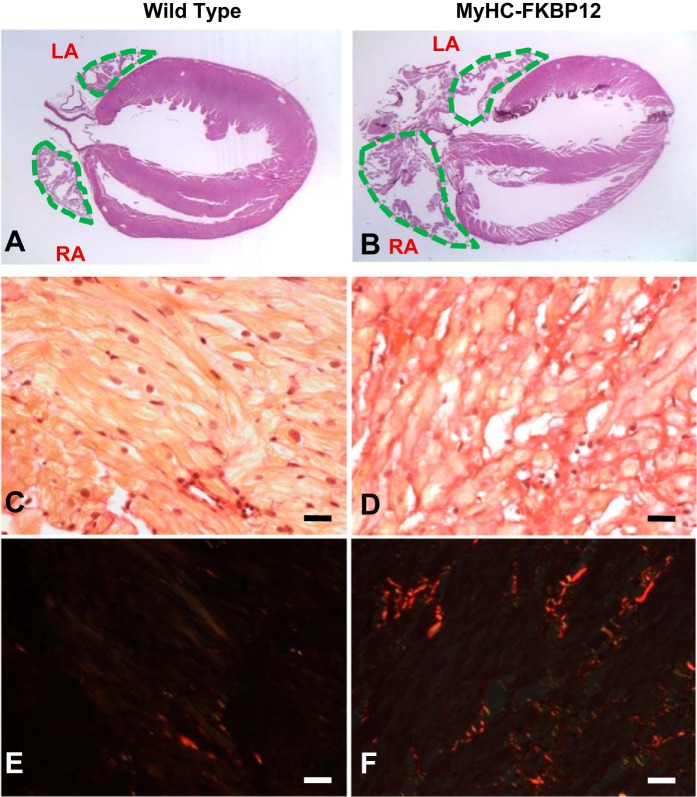 Fig. 8.