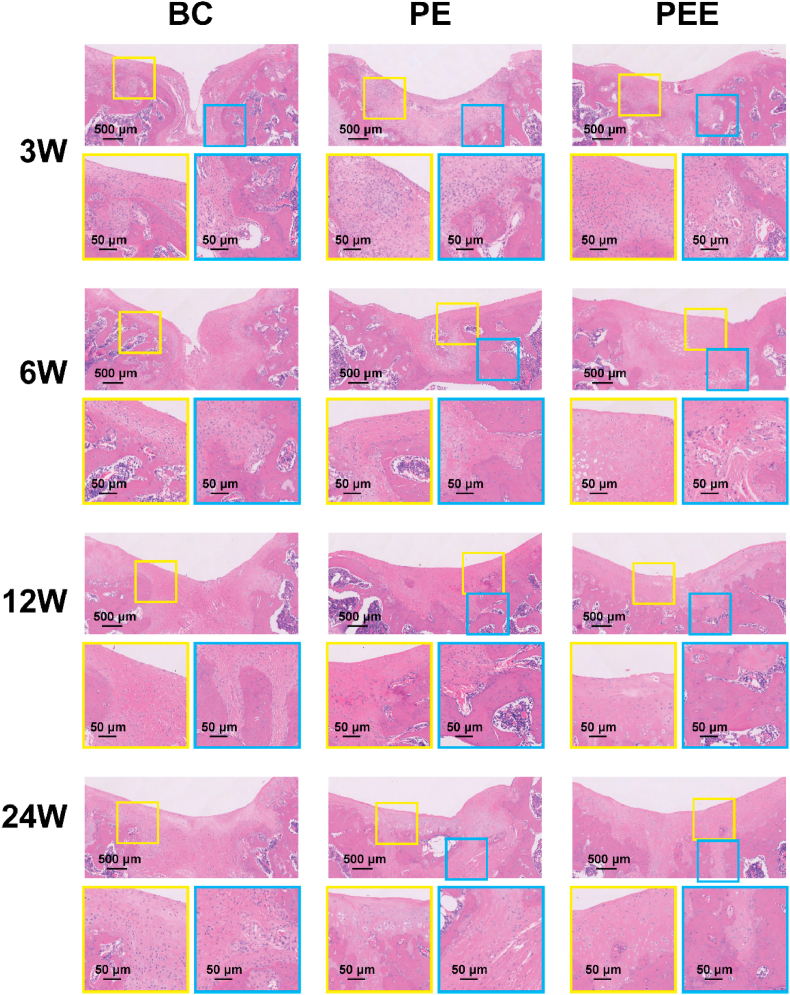 Fig. 8