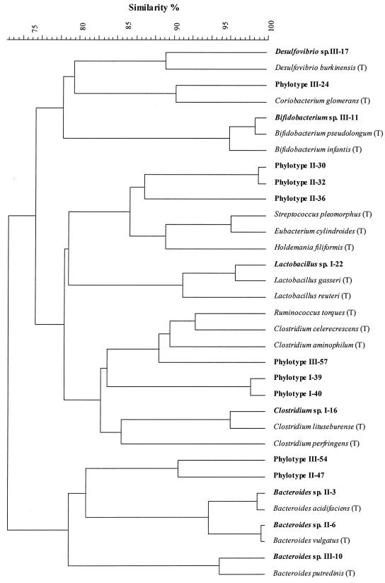 FIG. 5.