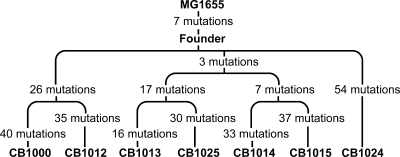 FIG. 6.