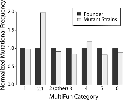 FIG. 7.