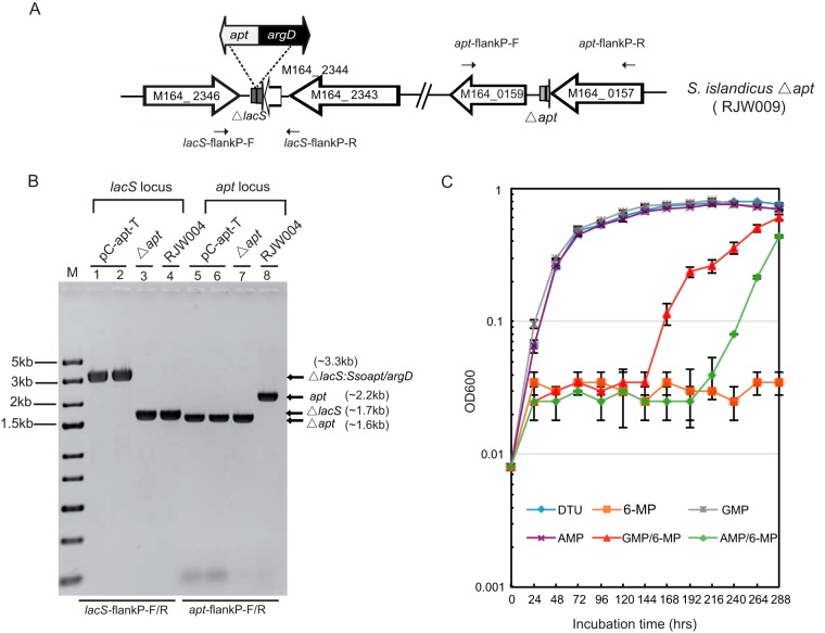 FIG 3