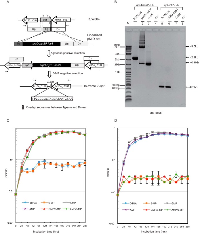 FIG 2