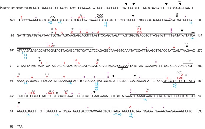 FIG 6