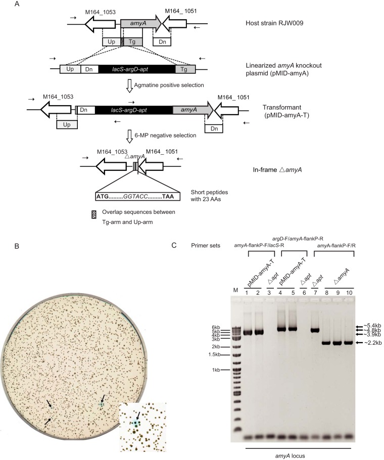 FIG 4