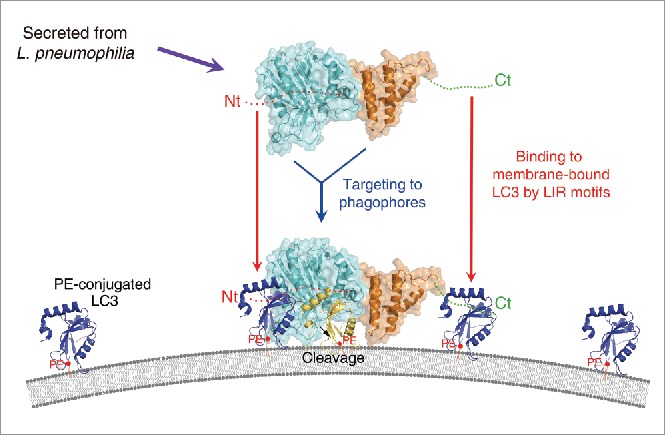 Figure 6.