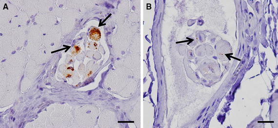 Figure 5