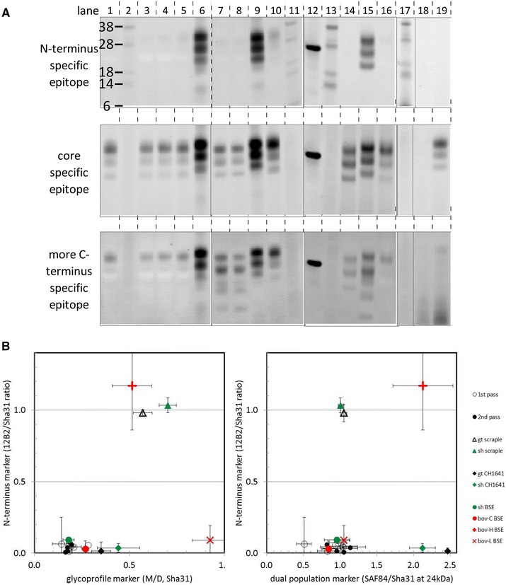 Figure 6