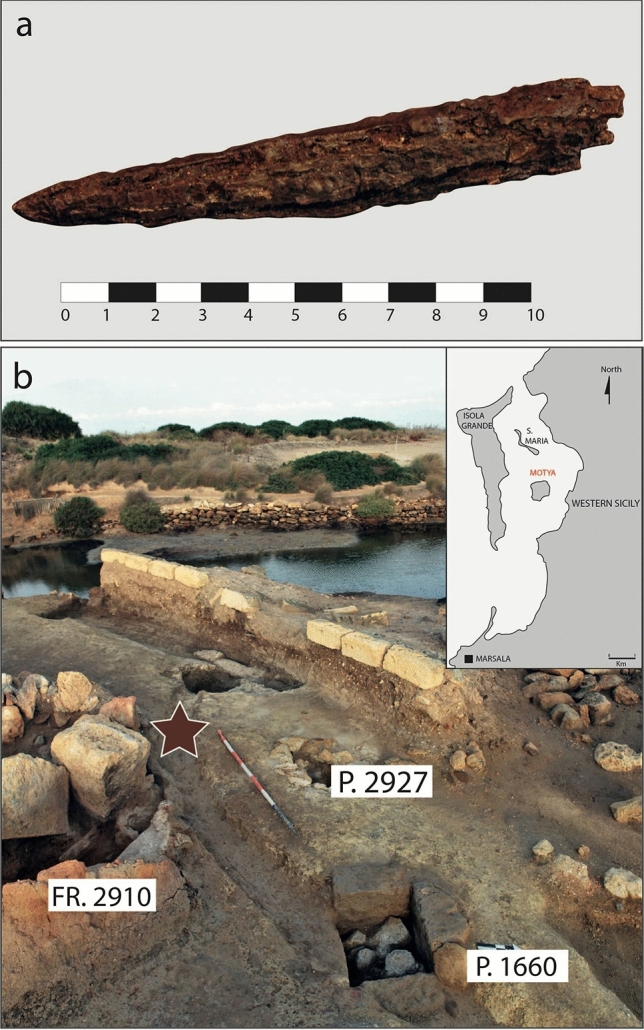 Figure 1