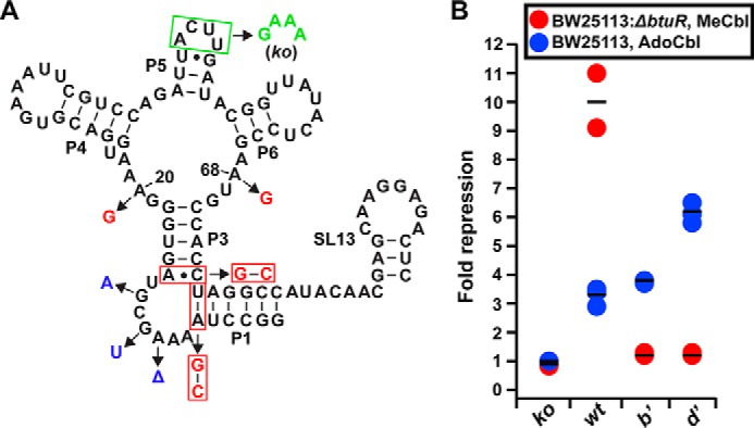 Figure 5.
