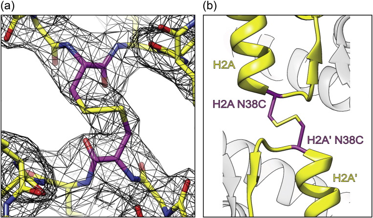 Fig. 3.