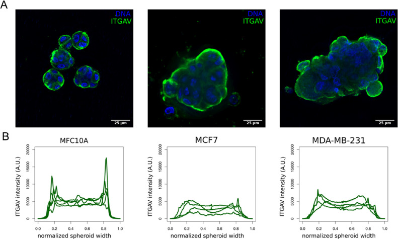 Fig 6: