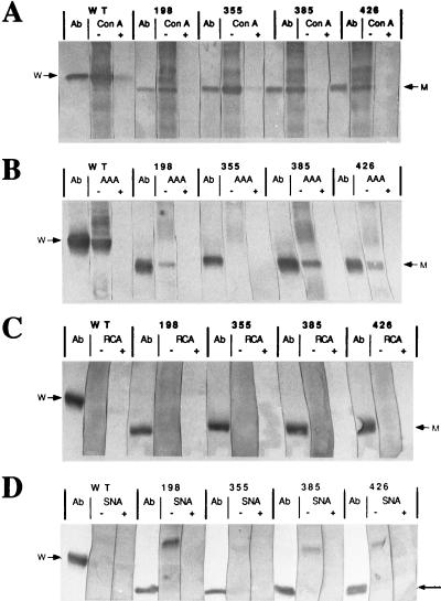 FIG. 6