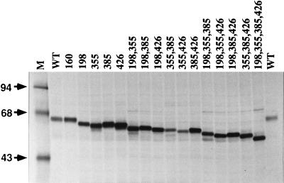 FIG. 3