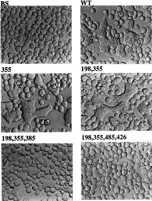 FIG. 10