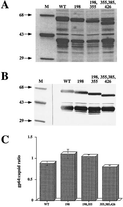 FIG. 9