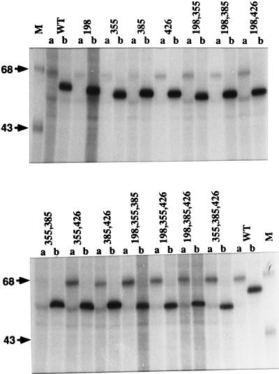 FIG. 8