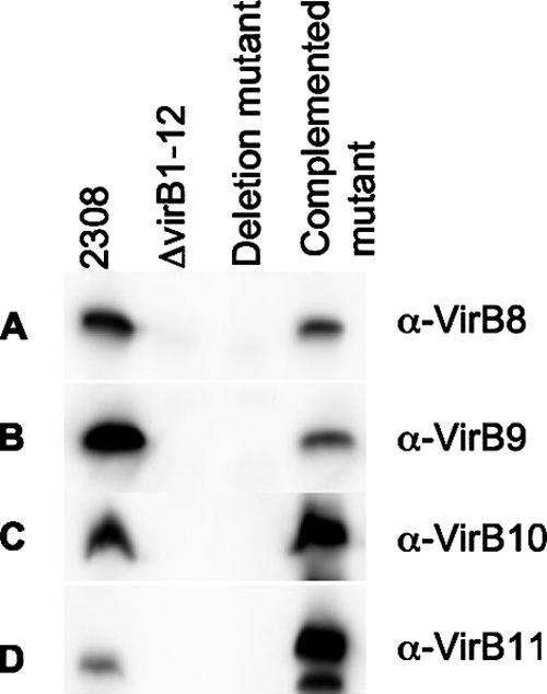 FIG. 6.