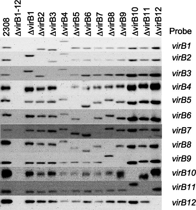 FIG. 2.