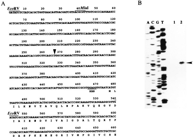 FIG. 6