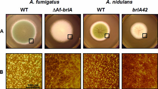 FIG. 5.