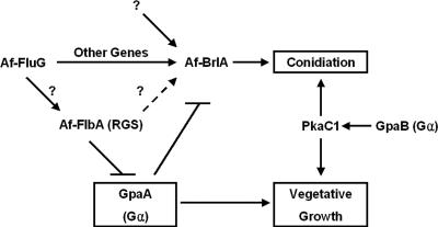 FIG. 7.