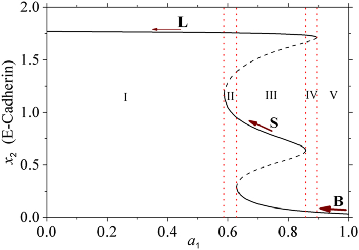 Figure 8