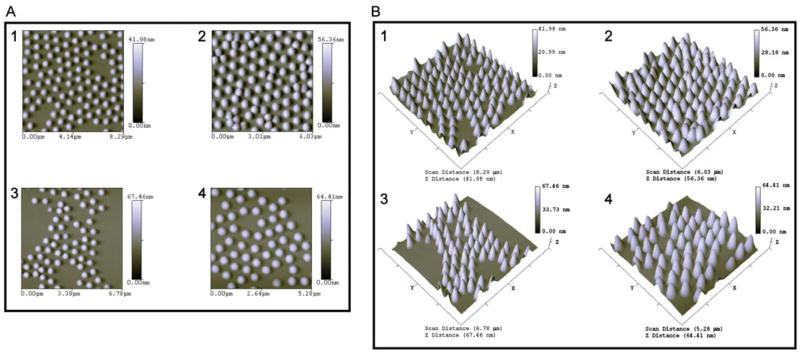 Fig. 3